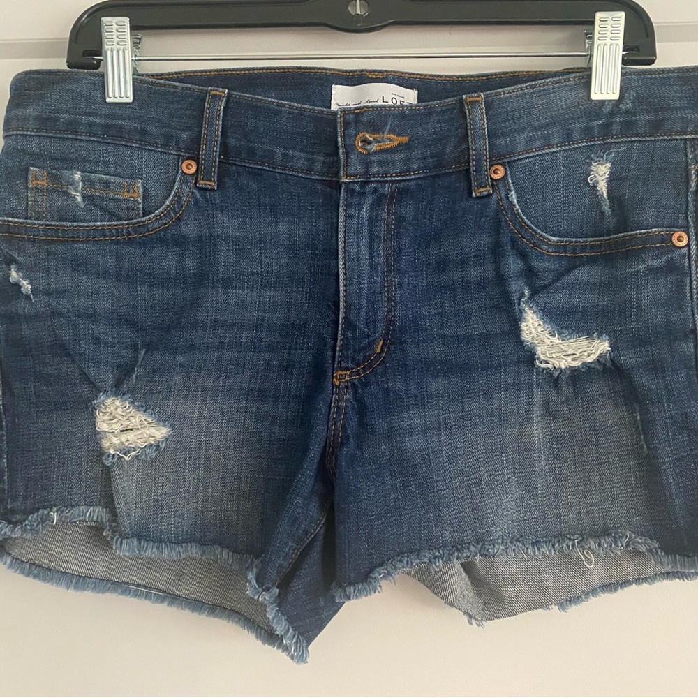 Ann Taylor Loft Shorts